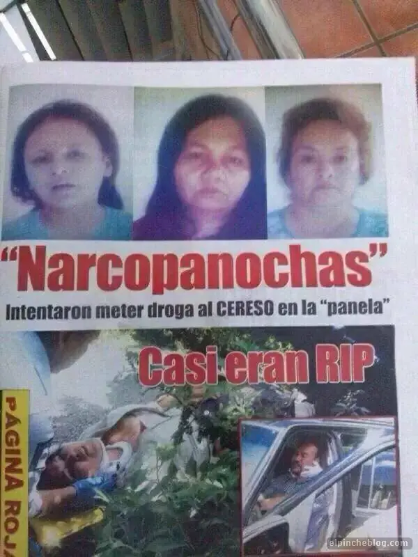 Lo Mejor de Facebook 2015 [MEGAPOST]
