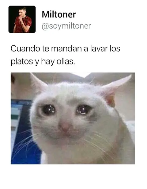 Humor de viernes