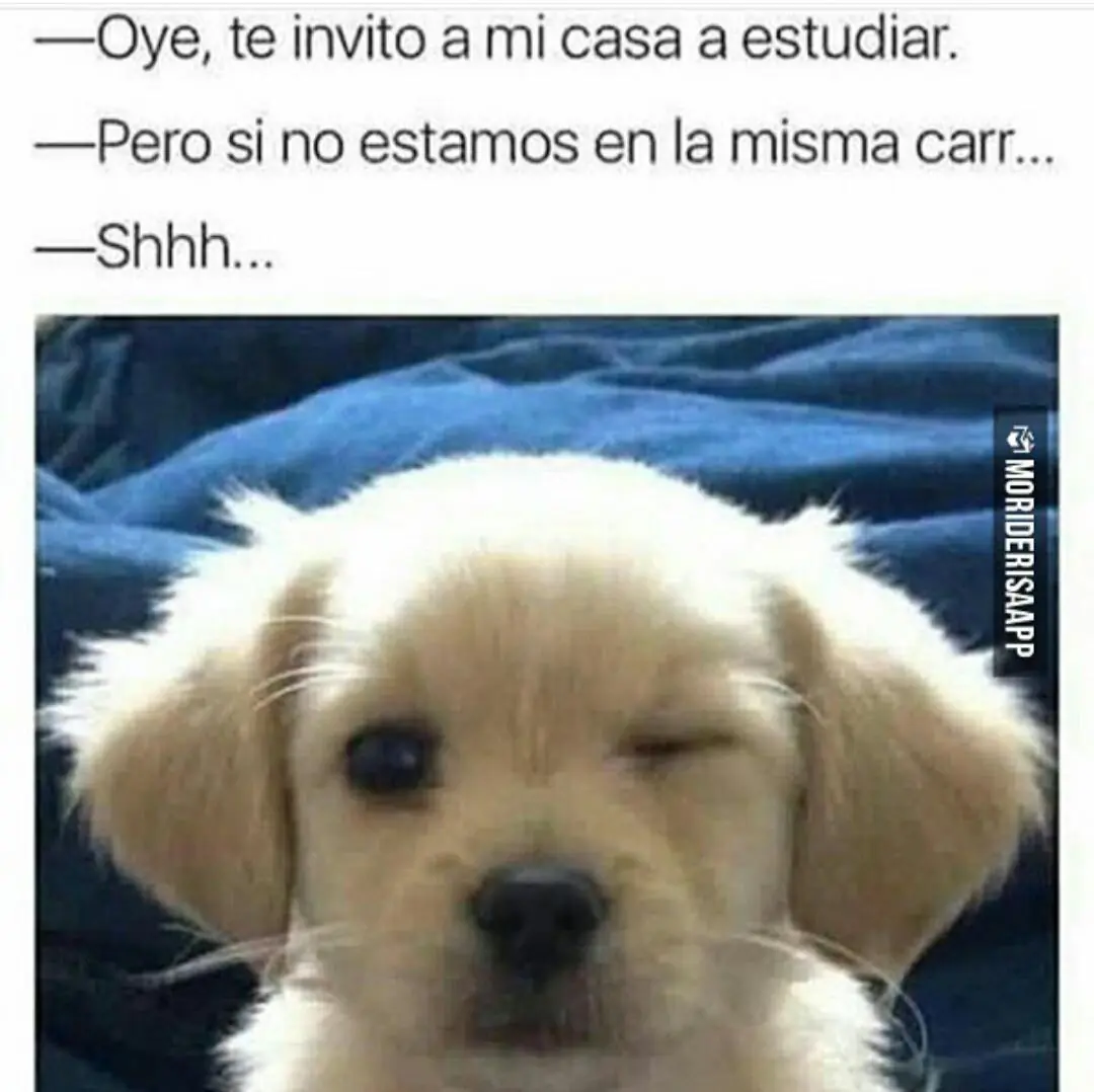 humor
