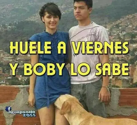 imagenes chistosas