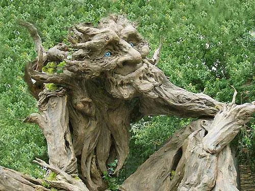 Arbol