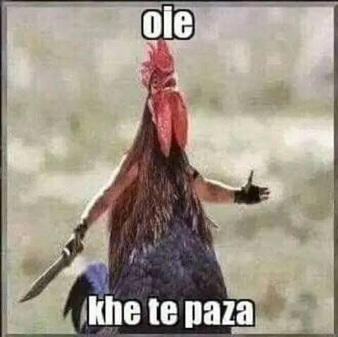 memes