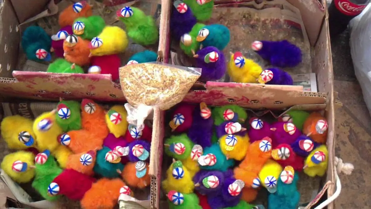 10 curiosidades sobre Mexico