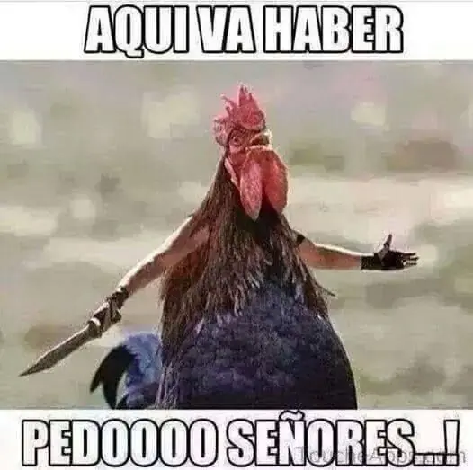humor