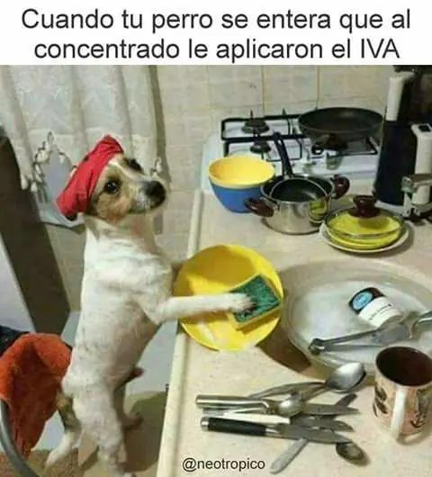 imagenes chistosas