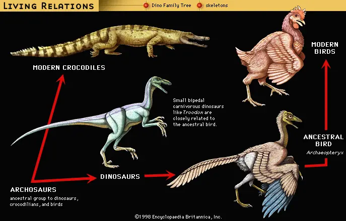 cocodrilos