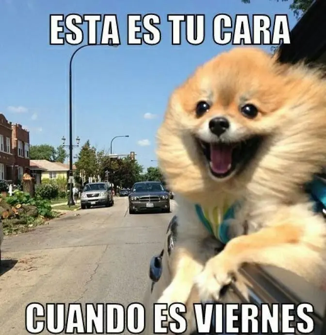 memes