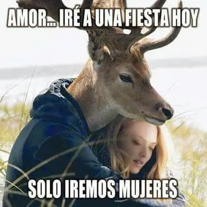 humor