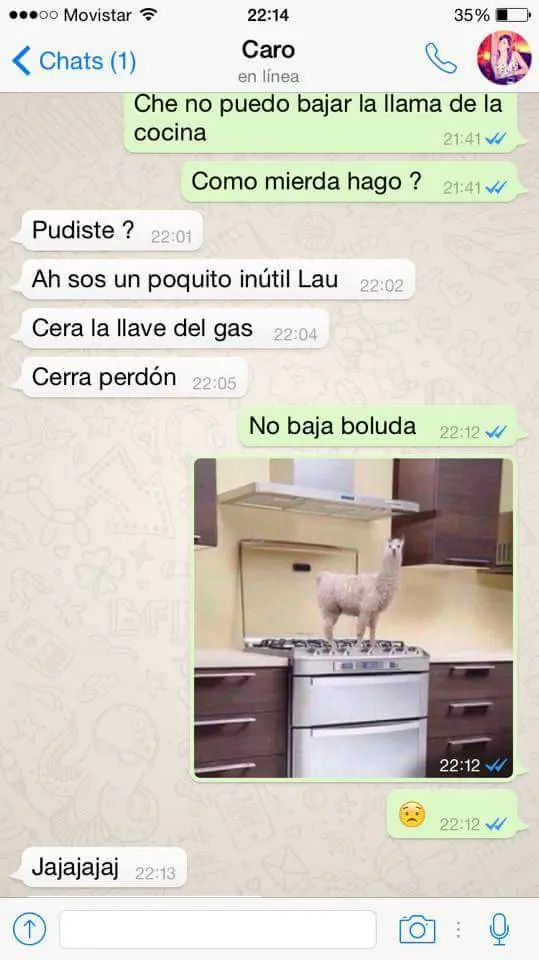 graciosos graciosos