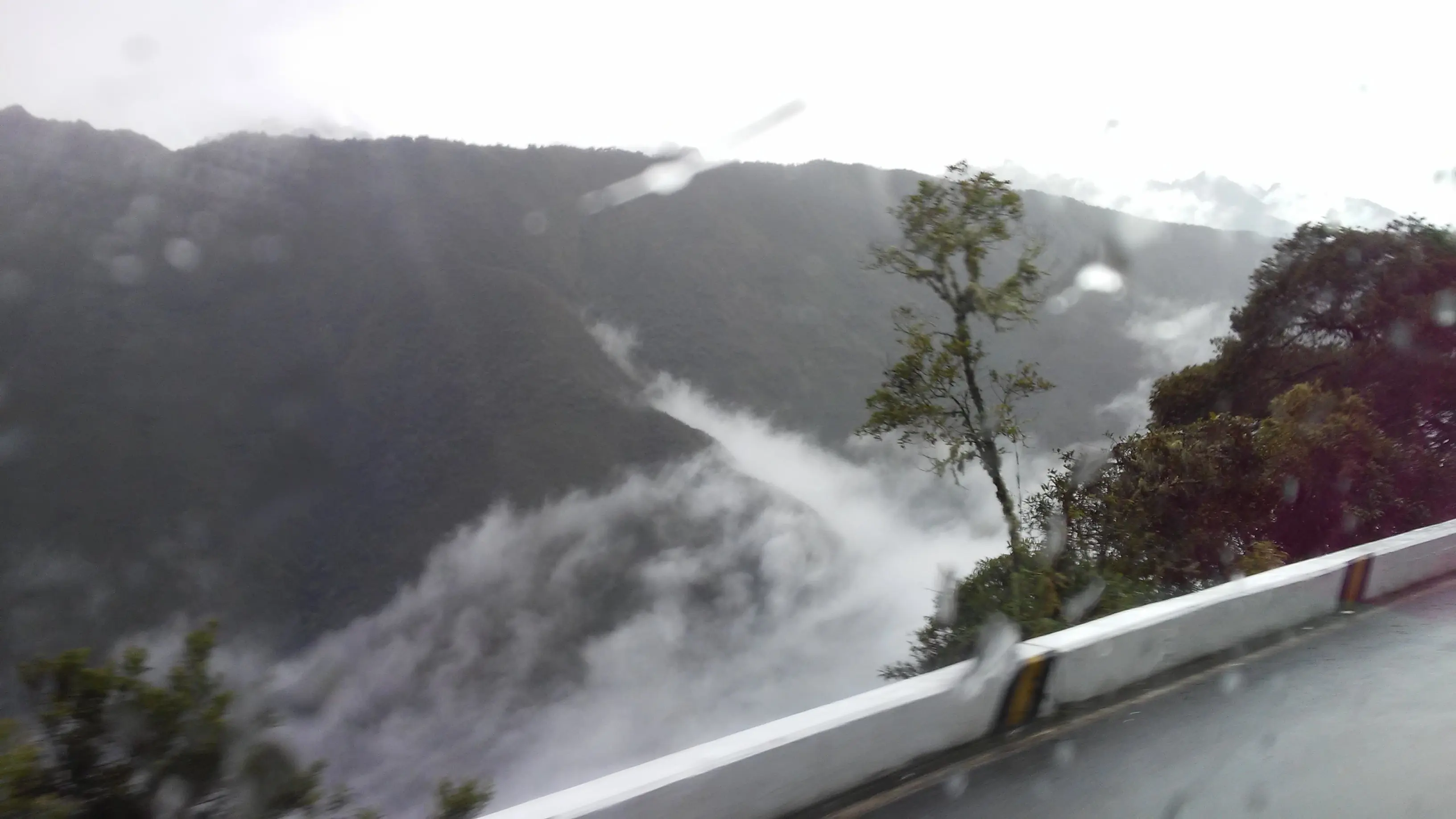 selva