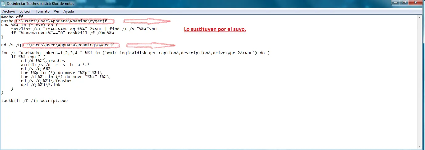 trashes virus windows