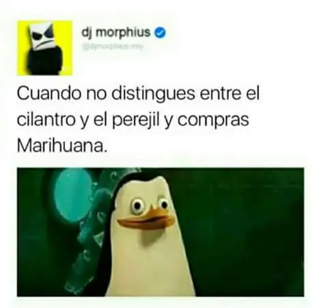 humor de fin de semana