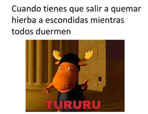 memes