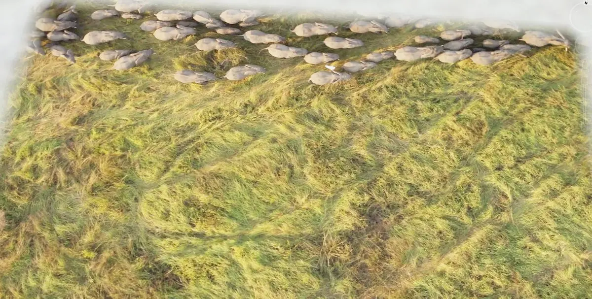 9 Extraños e interesantes lugares en Google Earth