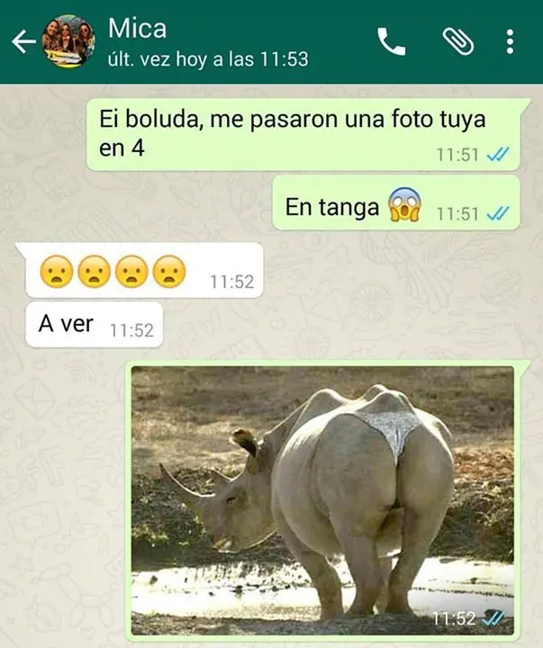 Recopilación de las conversaciones más graciosas en WhatsApp Recopilación de las conversaciones más graciosas en WhatsApp