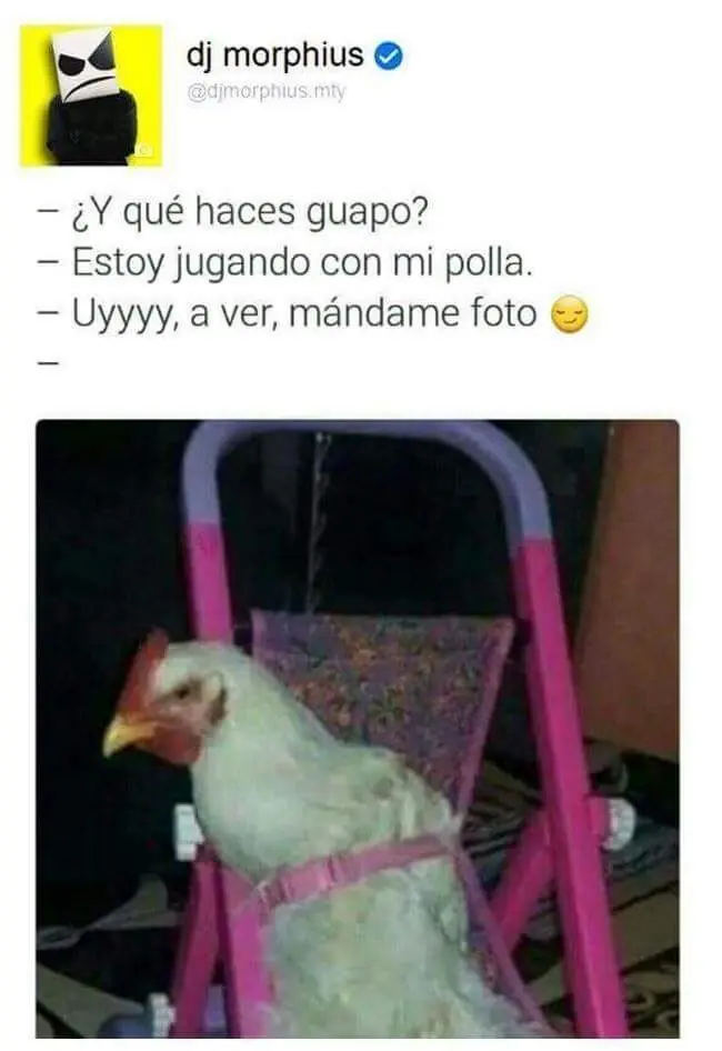 imagenes chistosas