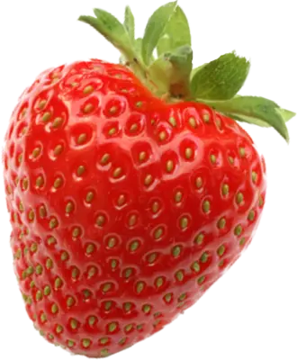 geneticas