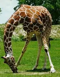 [Megapost] Cosas que seguro no te enteraste