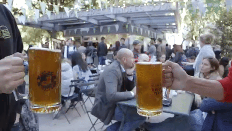 la cerveza no engorda la cerveza no engorda