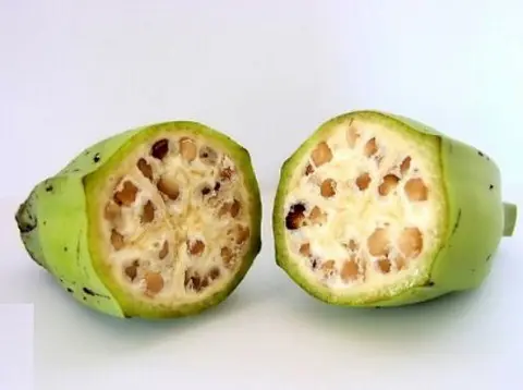mutaciones genetias