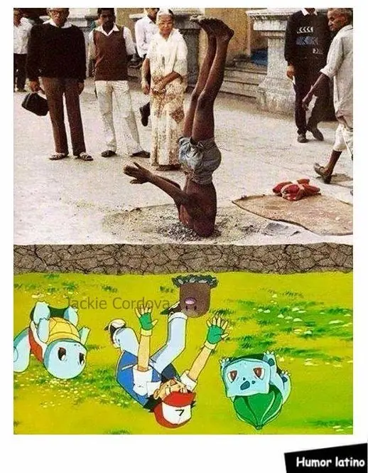 humor memes