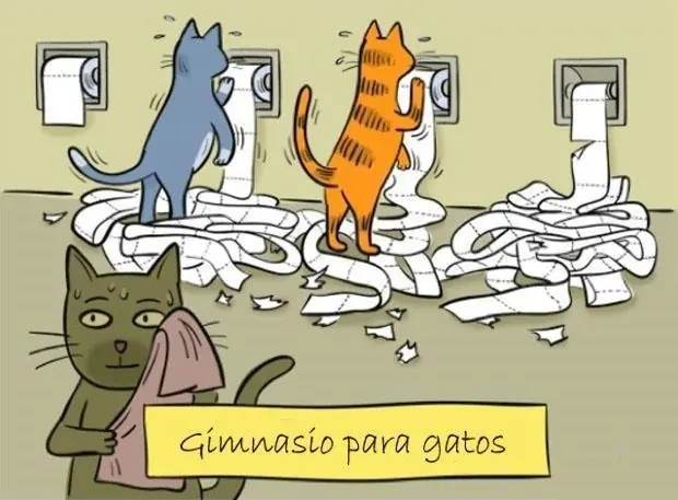 gatuno