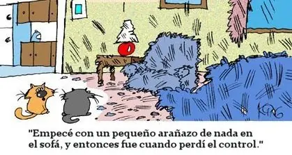 humor