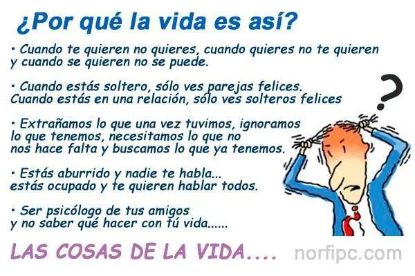 humor de domingo