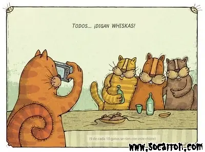 humor