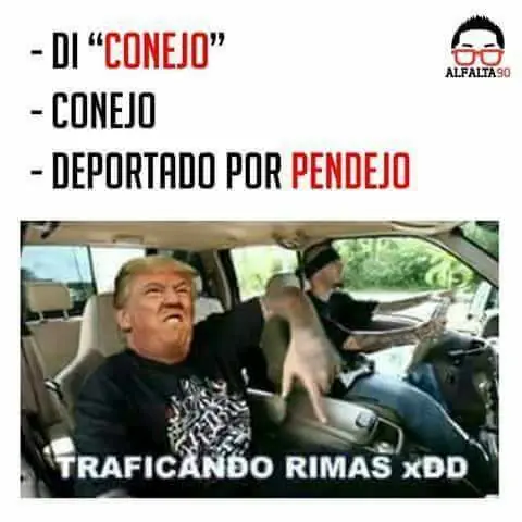 humor de domingo