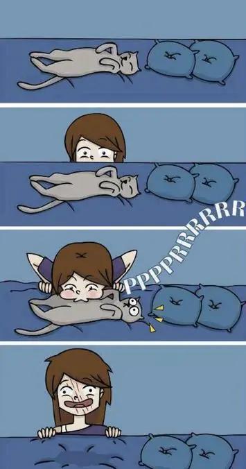 Humor gatuno para este viernes +10 si te ríes