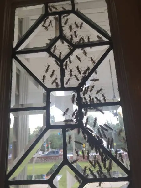 pasatiempo