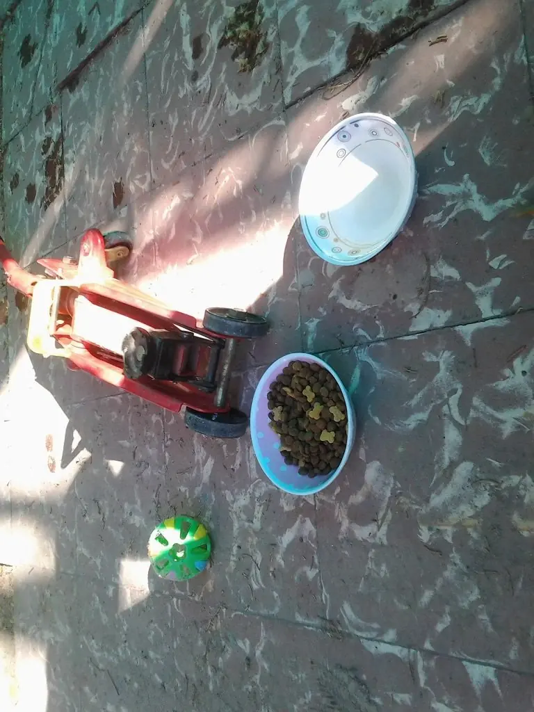 mecanico