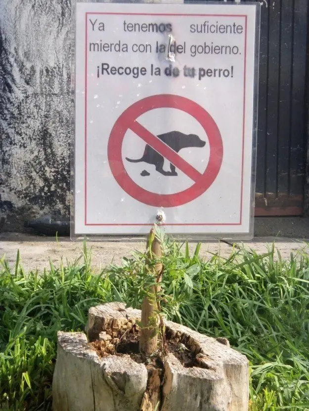 letreros