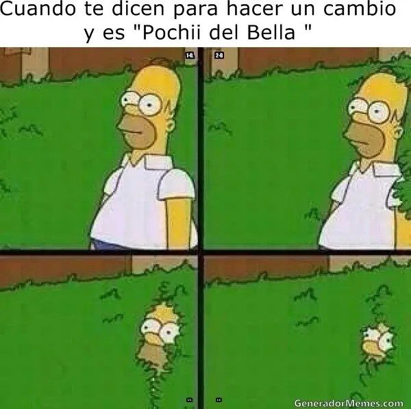 chicas