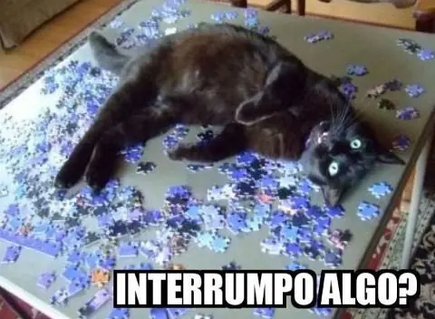 humor