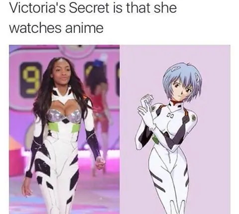 humor memes