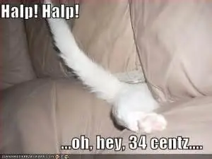 Humor gatuno para este viernes +10 si te ríes