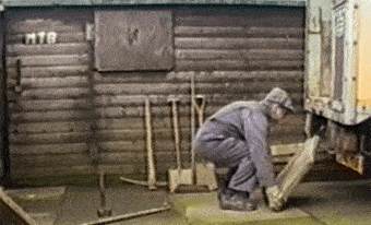 risas