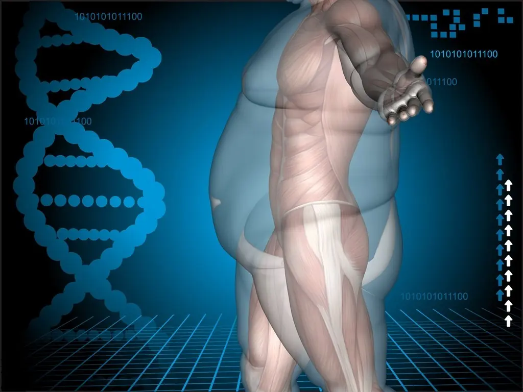 La verdad sobre la obesidad y el sobrepeso!!