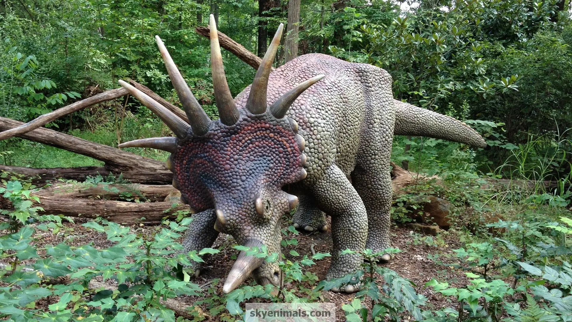 extincion extincion