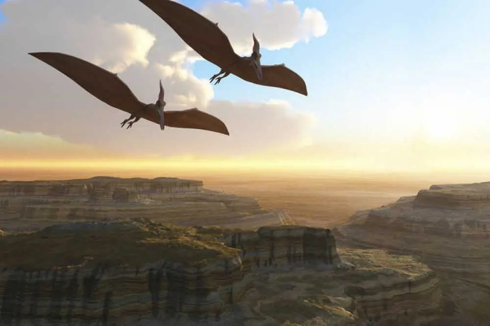 Dinosaurios Dinosaurios