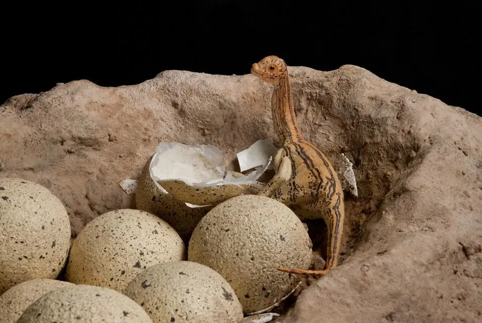 Los 10 más grandes misterios sobre los dinosaurios Los 10 más grandes misterios sobre los dinosaurios