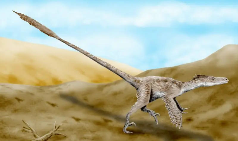 extincion extincion