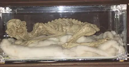 Momias de demonios en los templos budistas