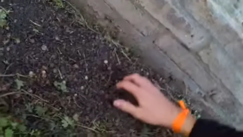 Como hacer Manaos casera