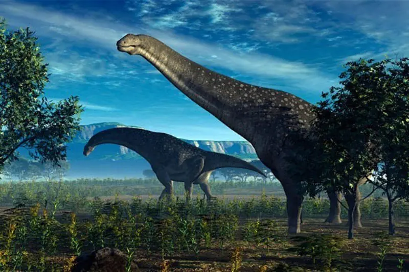 extincion extincion