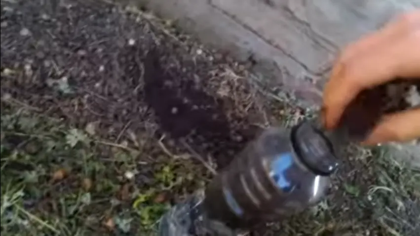 [Tutorial] Cómo hacer Manaos casera