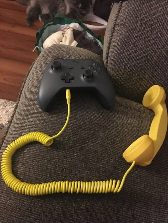 wtf