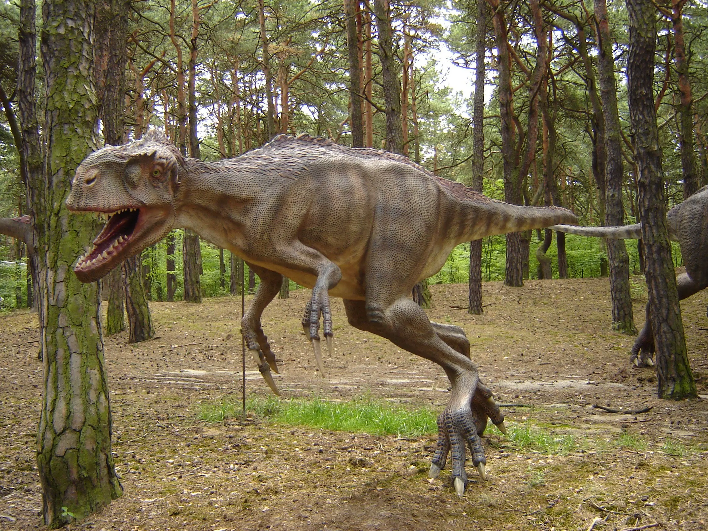 Los 10 más grandes misterios sobre los dinosaurios Los 10 más grandes misterios sobre los dinosaurios
